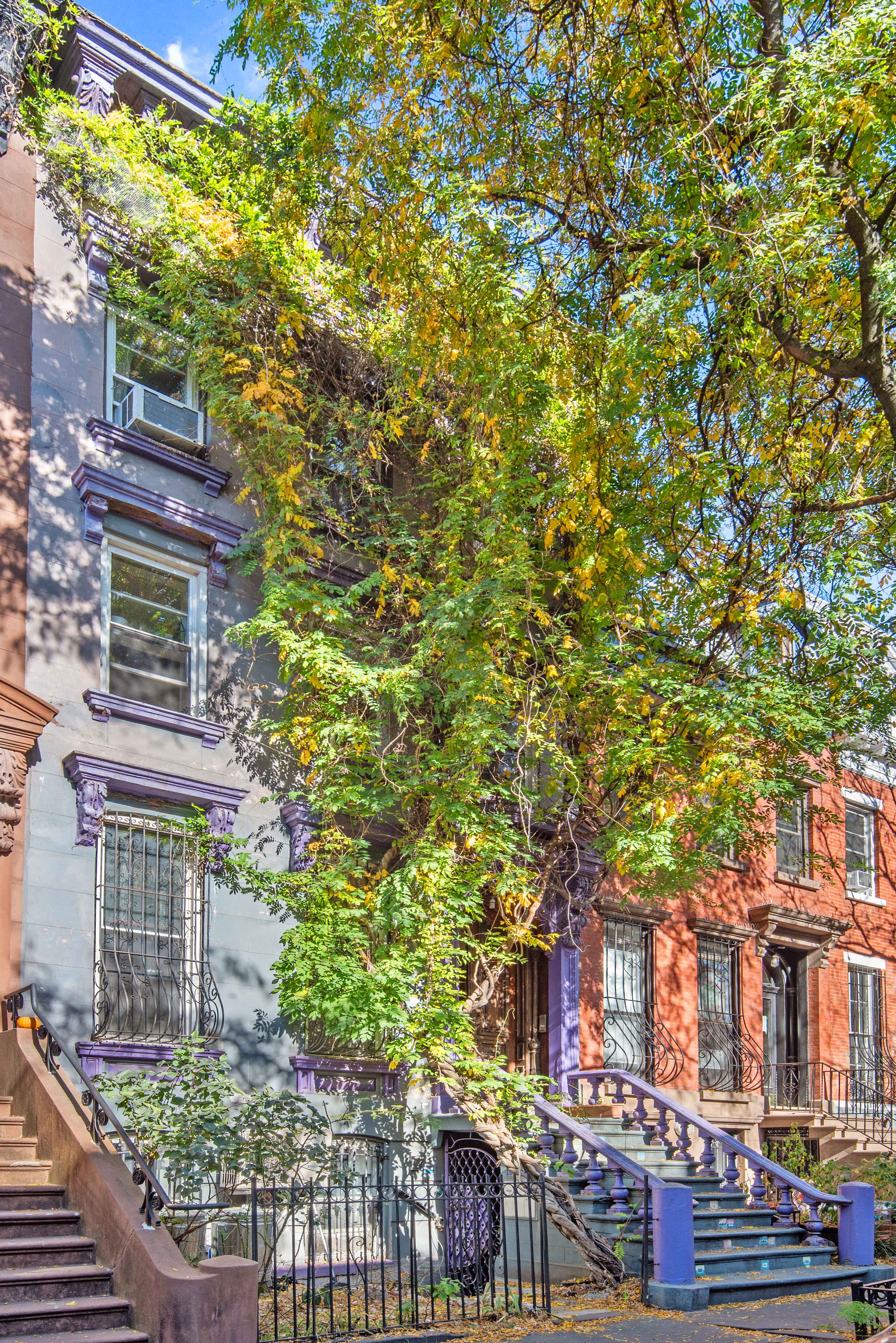 45 Saint Marks Avenue Brooklyn, NY 11217 - Photo 8 of 9