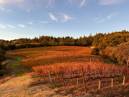 $1,795,000 | 31920 Pine Mountain Road, Cloverdale, CA 95425