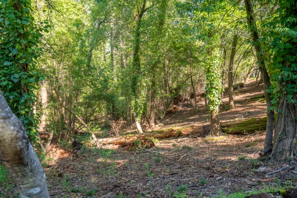 $125,000 | 10612 Canyon Road, Forestville, CA 95436