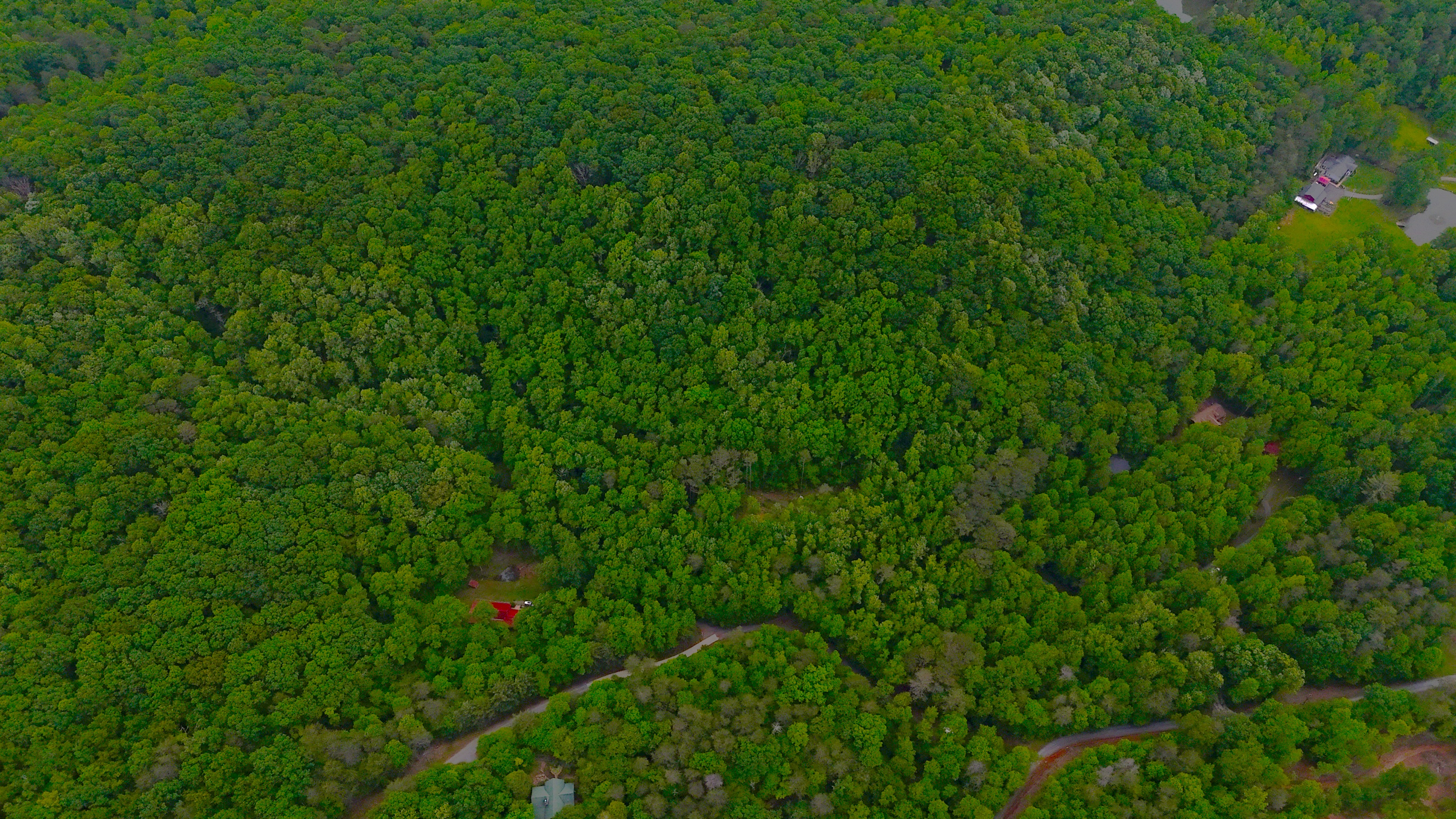 Nocona Trail Ellijay, GA 30536 - Photo 12 of 18 a view of a lush green space