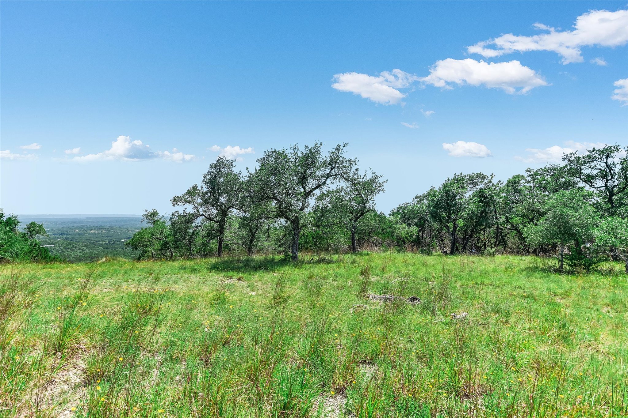 1363 Montell Road Wimberley, TX 78676 - Photo 27 of 35