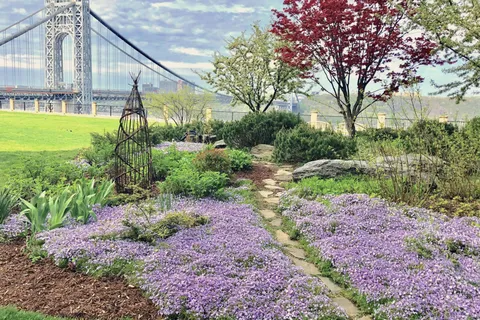 a view of a back yard