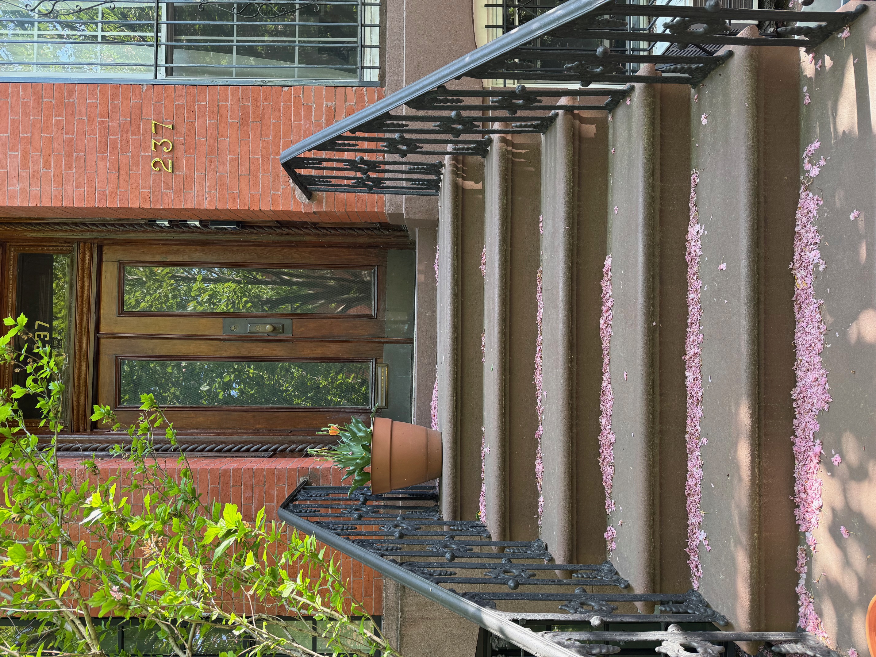 237 Bergen Street, Unit 2 Brooklyn, NY 11217 - Photo 9 of 11 a view of staircase with wooden floor and a potted plant