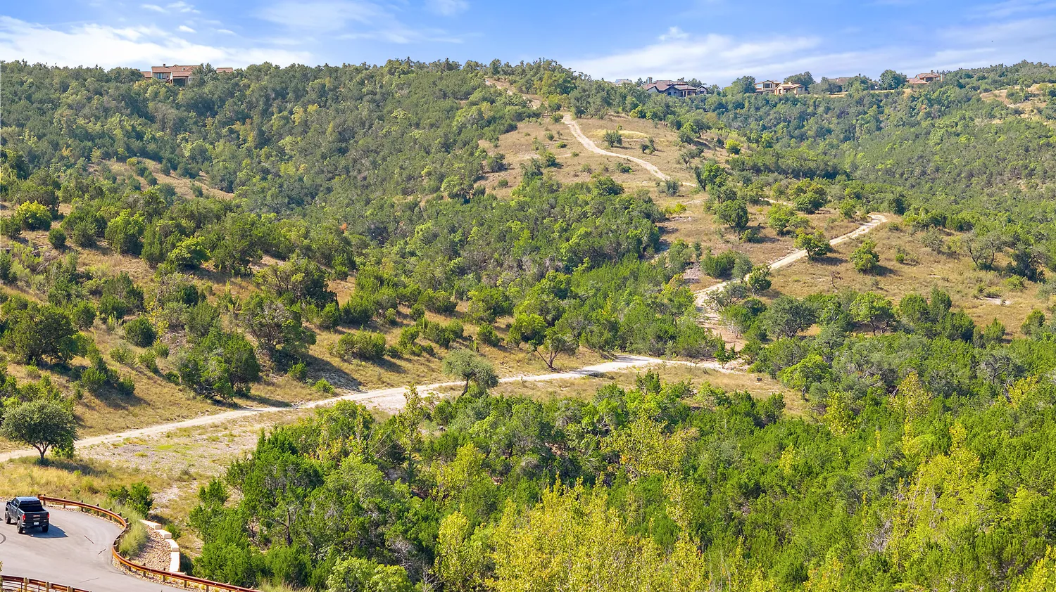a view of a forest with a street