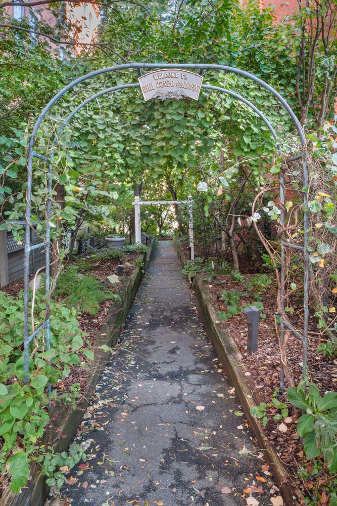 55 Poplar Street, Unit 2C Brooklyn, NY 11201 - Photo 12 of 14 a pathway with a yard