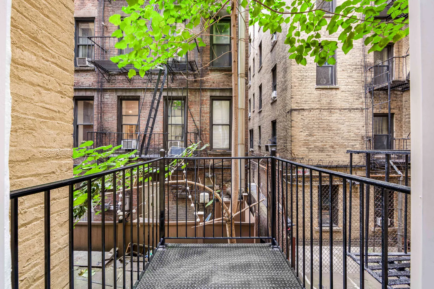 a view of a house with a small yard and a large tree