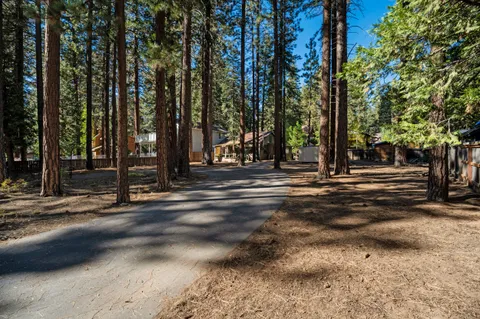 a view of road with trees