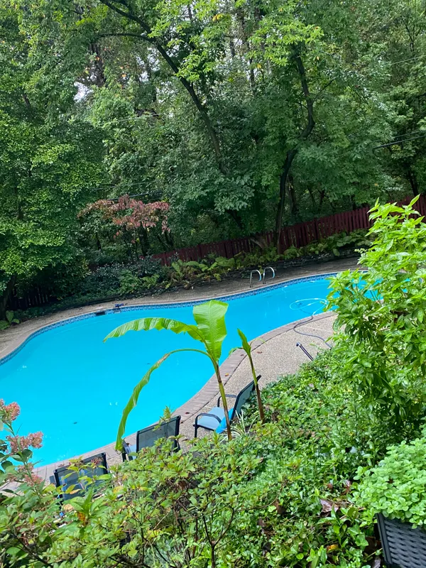 a view of a swimming pool with lawn chairs under an umbrella