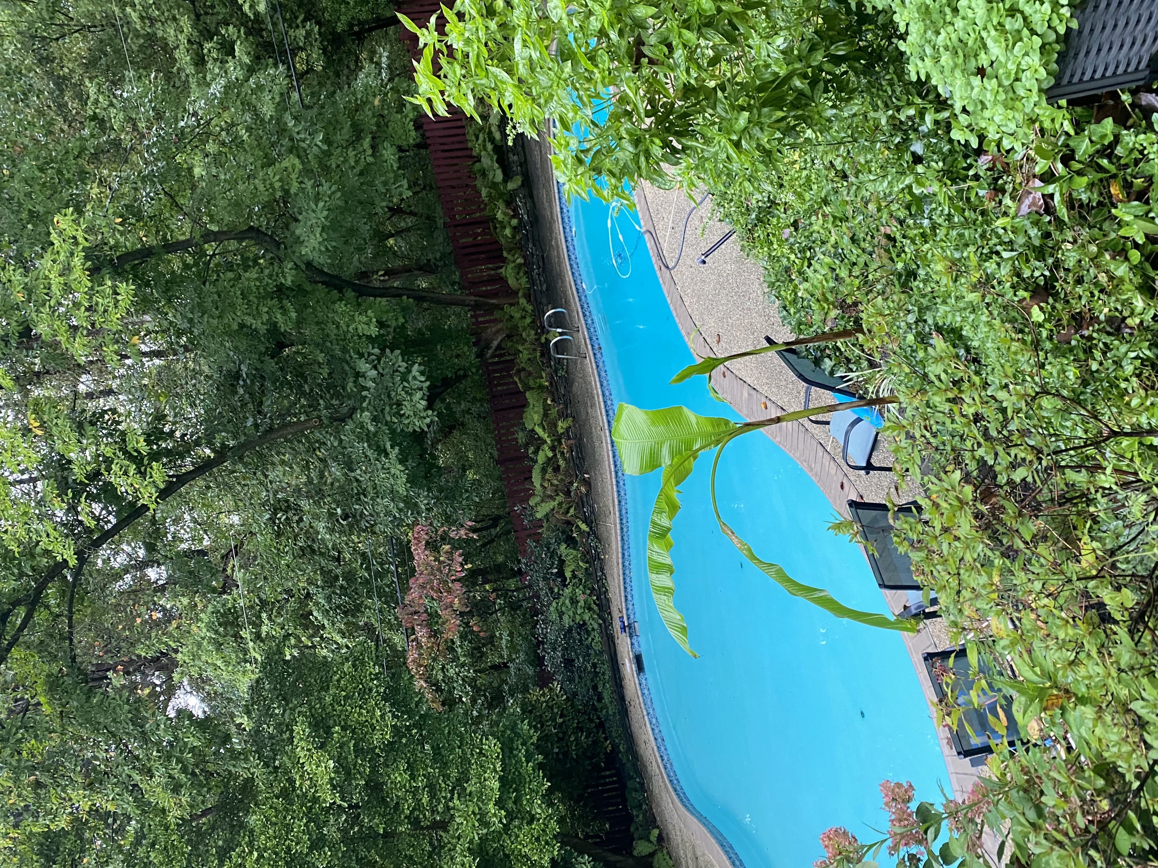 5344 Falmouth Road Bethesda, MD 20816 - Photo 8 of 17