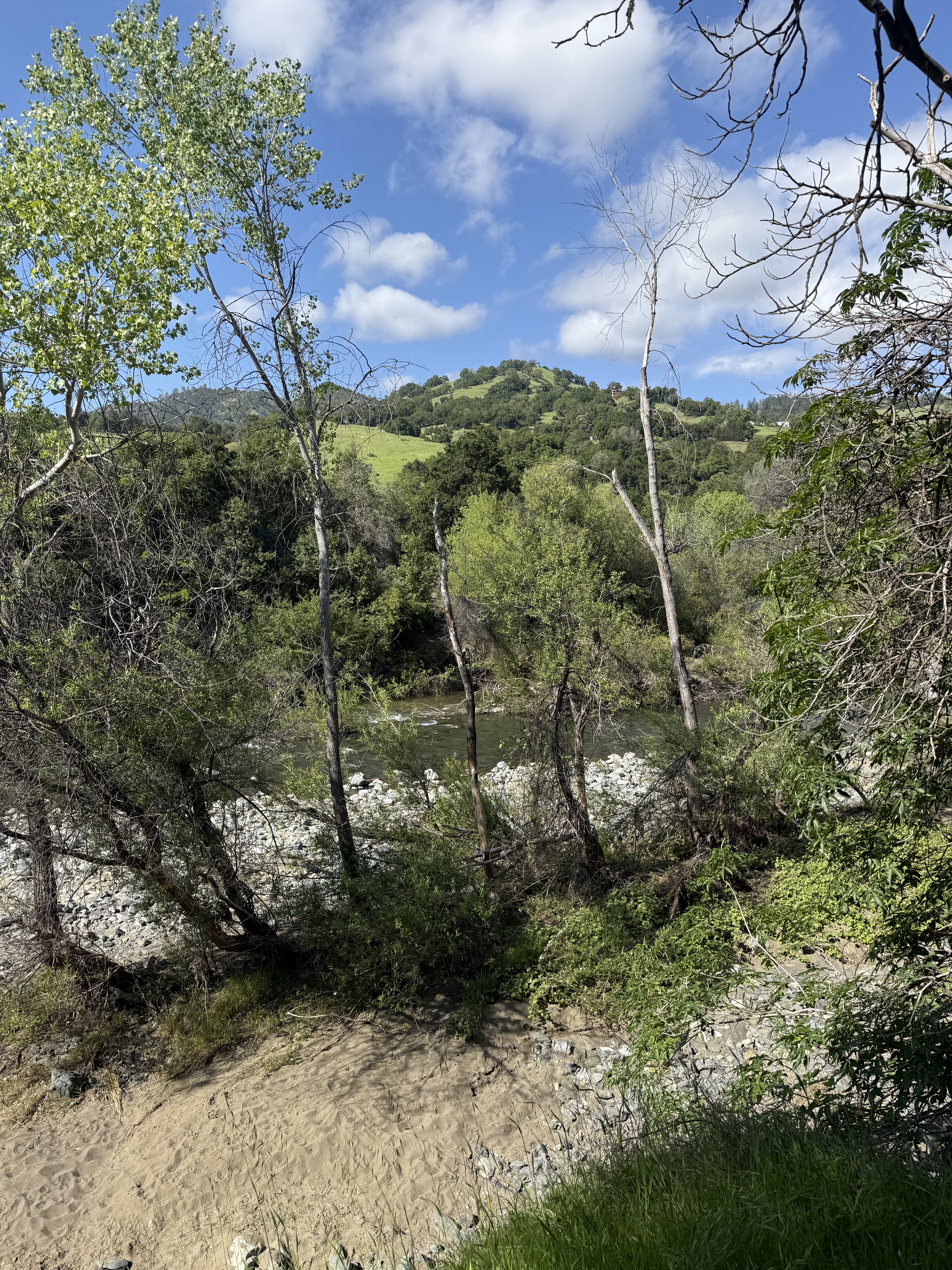 1325 Wilson Road Cloverdale, CA 95425 - Photo 15 of 29 a backyard of a house with lots of green space