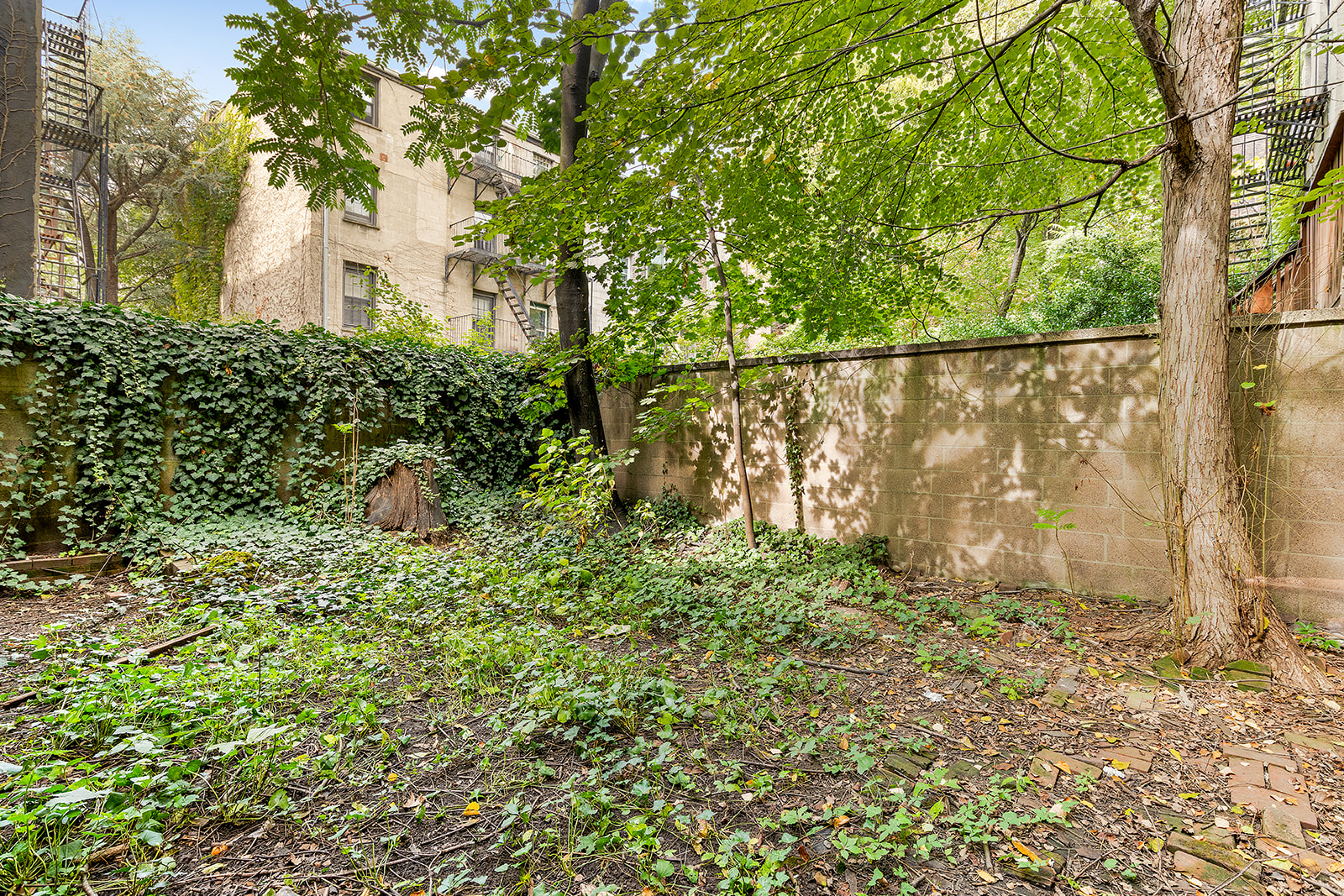 46 Willow Place Brooklyn, NY 11201 - Photo 23 of 31 a house view with a garden space