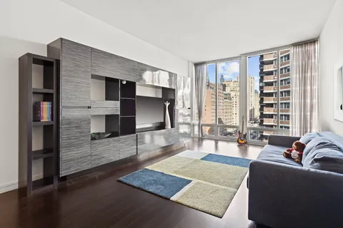 a living room with furniture rug and window