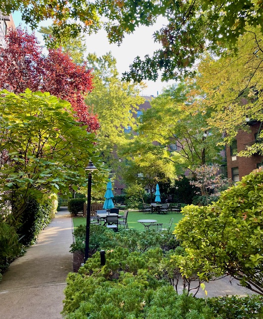 141 Barrow Street, Unit 1B Manhattan, NY 10014 - Photo 9 of 10 a view of yard with green space