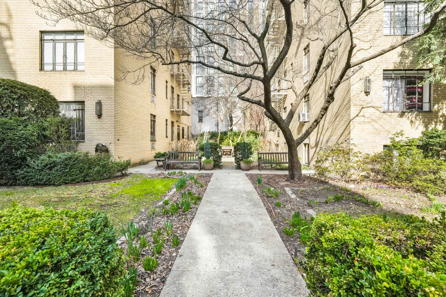 a view of a pathway with house on both side
