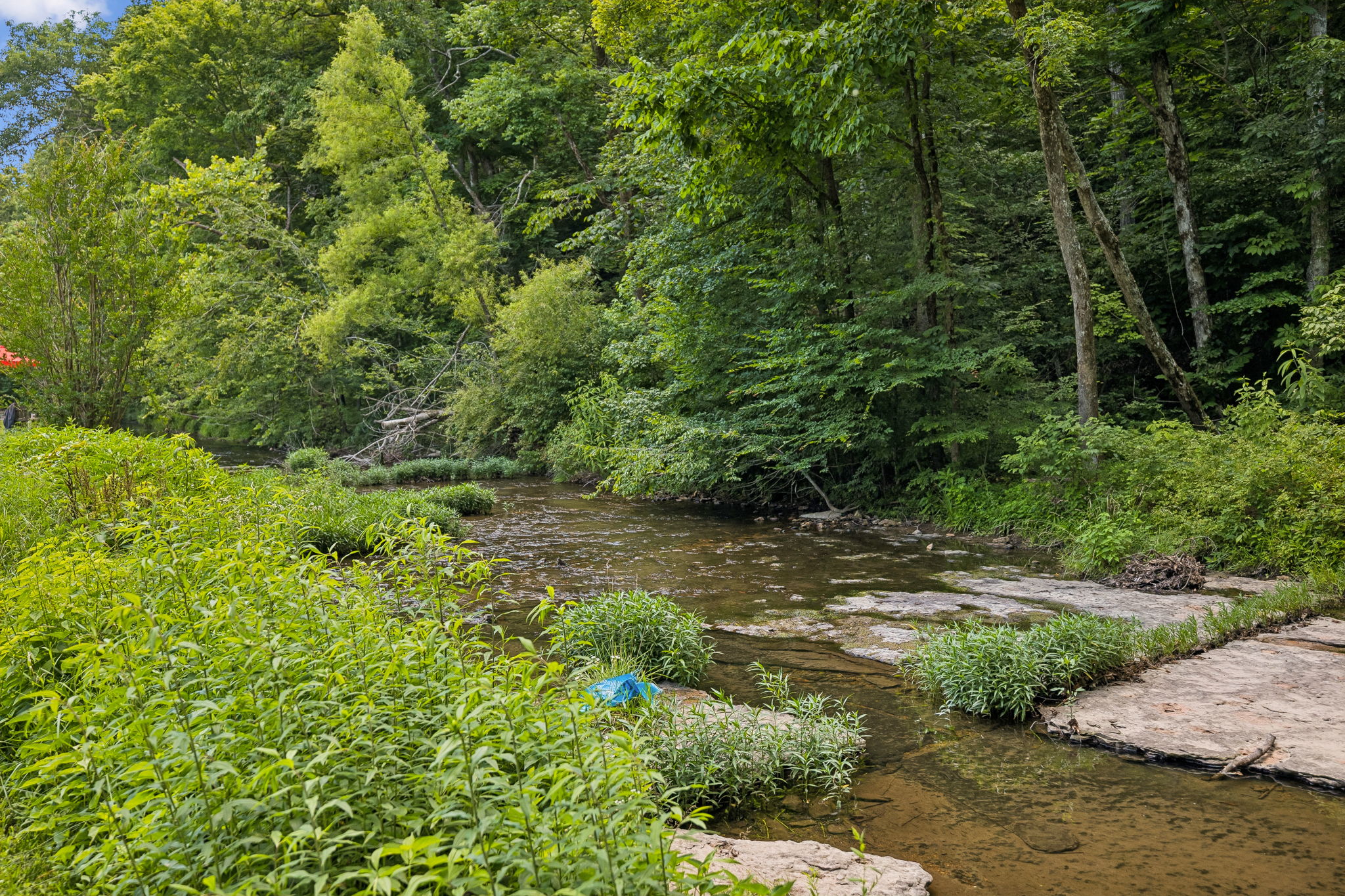 8188 Shoals Branch Road Primm Springs, TN 38476 - Photo 49 of 66