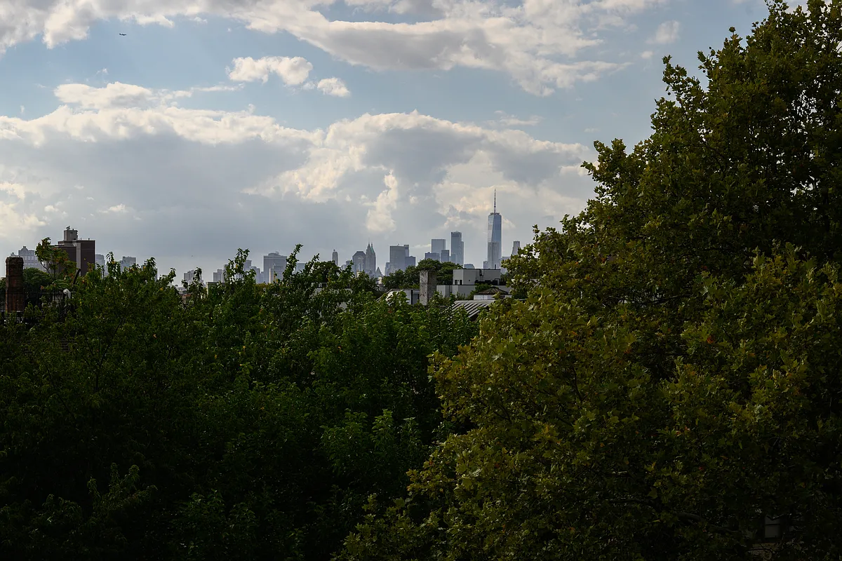 877 Greene Avenue, Unit 2 Brooklyn, NY 11221 - Photo 12 of 13 a view of a lake with a city