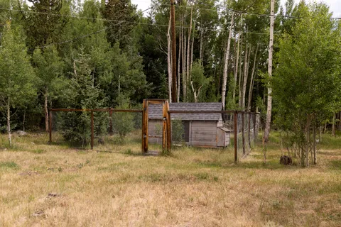 a view of a backyard with large trees