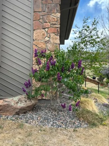 $1,295,000 | 4051 Niblick Drive, Longmont, CO 80503
