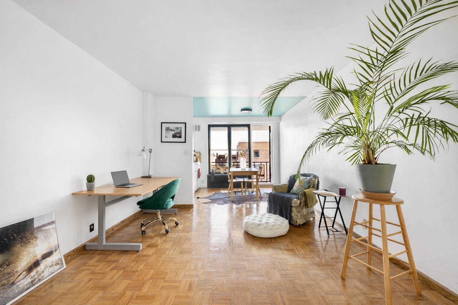 a living room with furniture and a potted plant