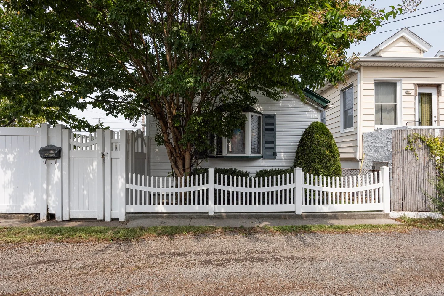a view of a house with a small yard and a large tree