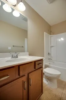a bathroom with a sink a toilet and a mirror