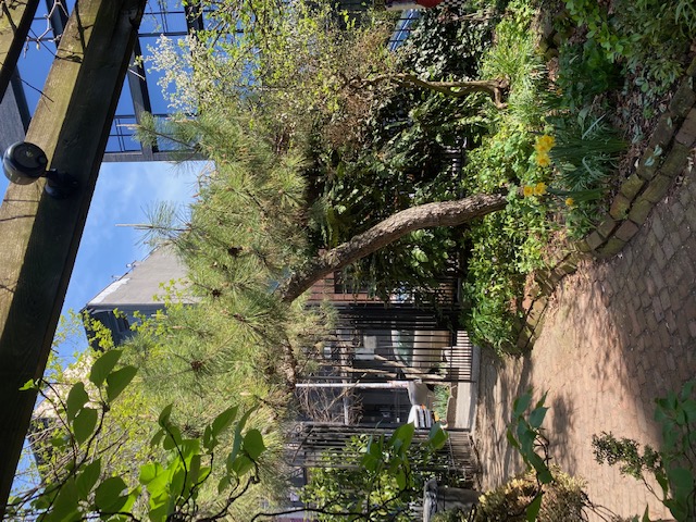 625 East 6th Street, Unit 3 Manhattan, NY 10009 - Photo 19 of 20