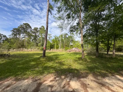 $15,000 | Lake Forest Drive, Livingston, TX 77351