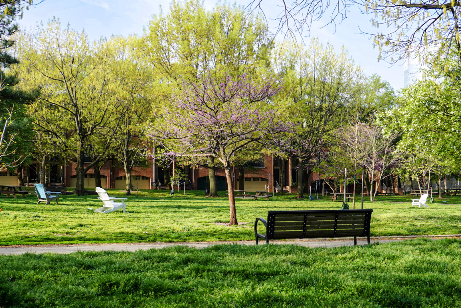 2420 Manning Street Philadelphia, PA 19103 - Photo 19 of 25 a park with wooden bench and trees