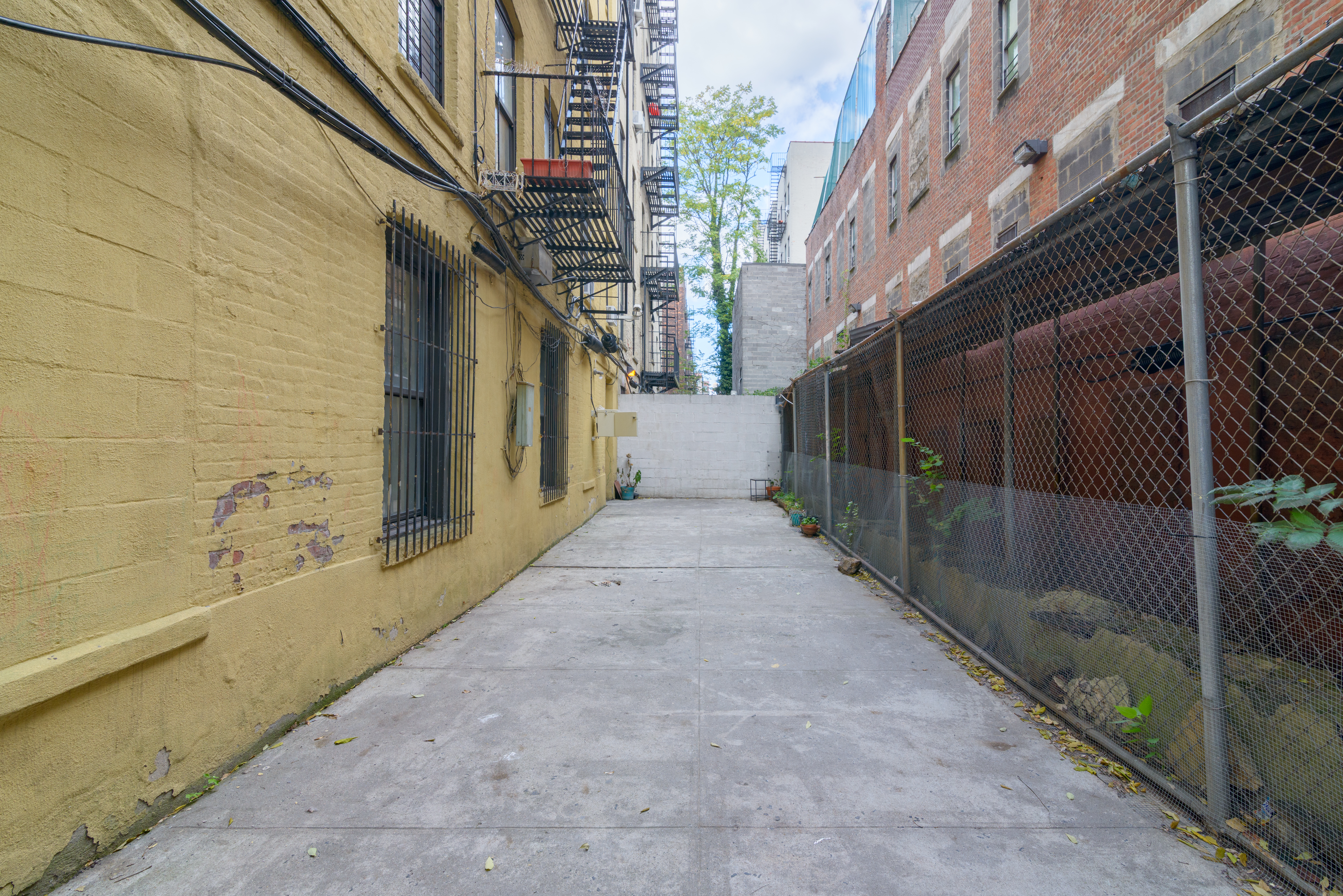 517 West 144th Street, Unit 9 Manhattan, NY 10031 - Photo 20 of 22 a view of a pathway that has an trees