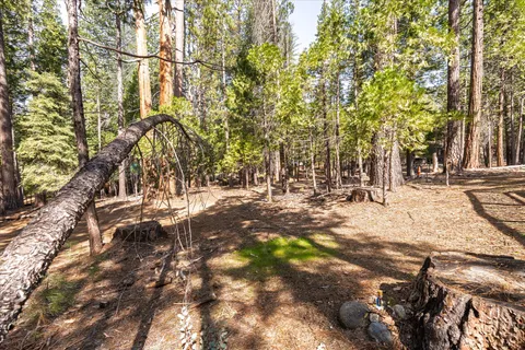 a view of a backyard of the house