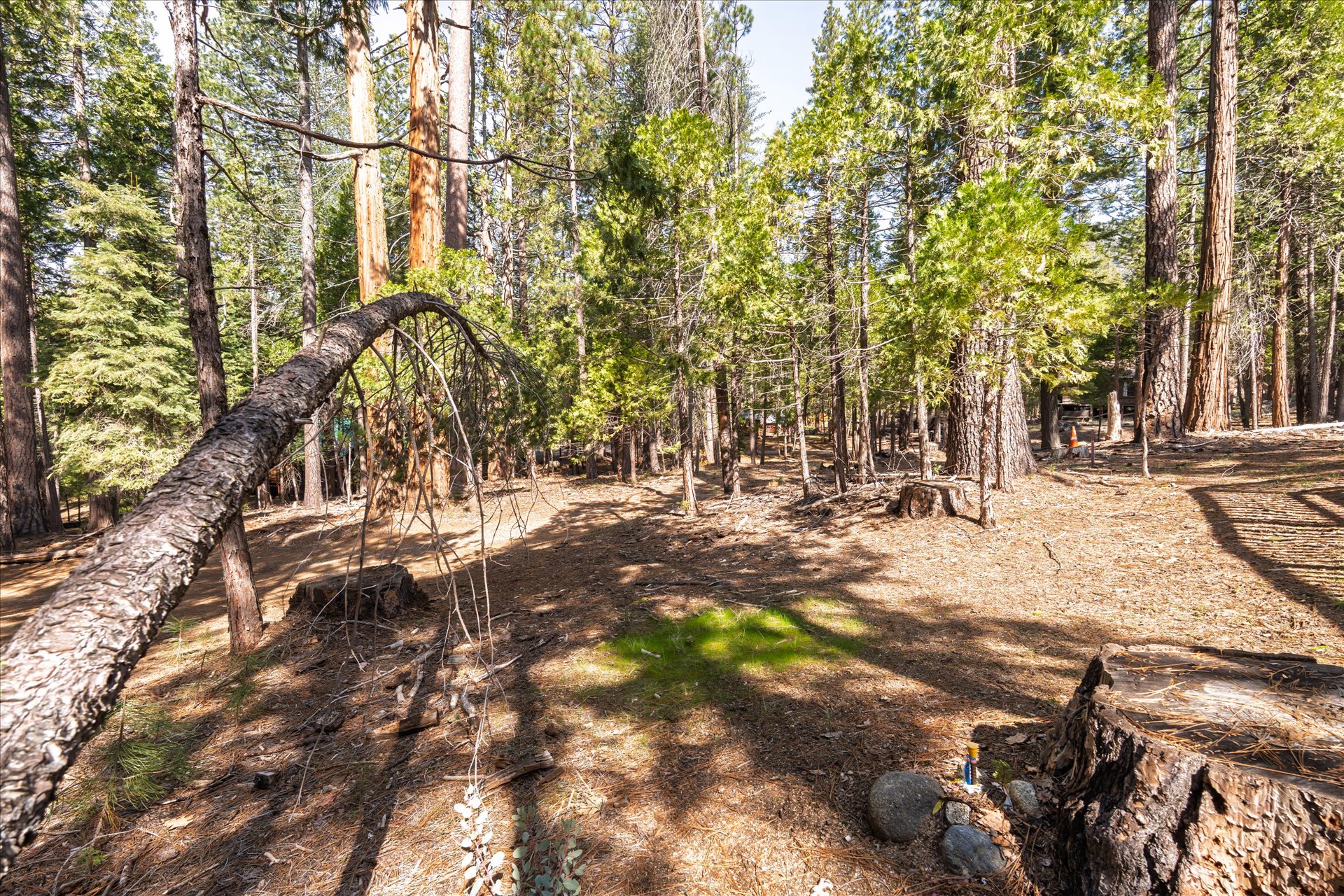 0 Koon Hollar Wawona, CA 95389 - Photo 10 of 31 a view of yard with tree