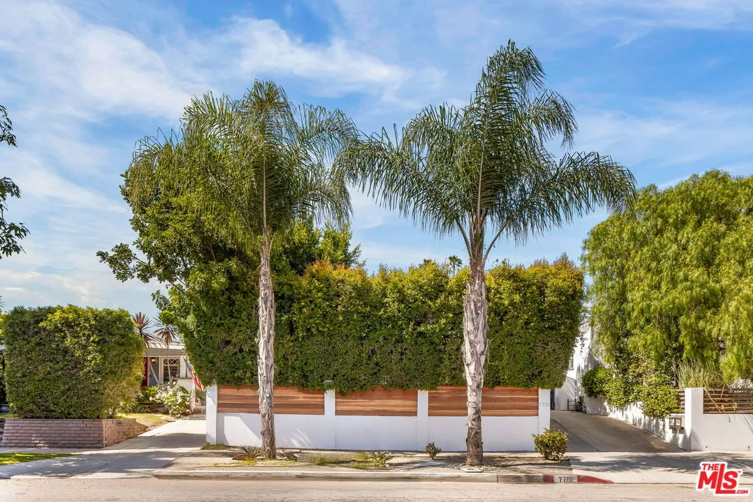 a view of a palm tree next to a house