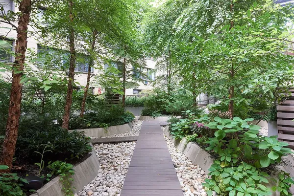 a view of a pathway both side of yard