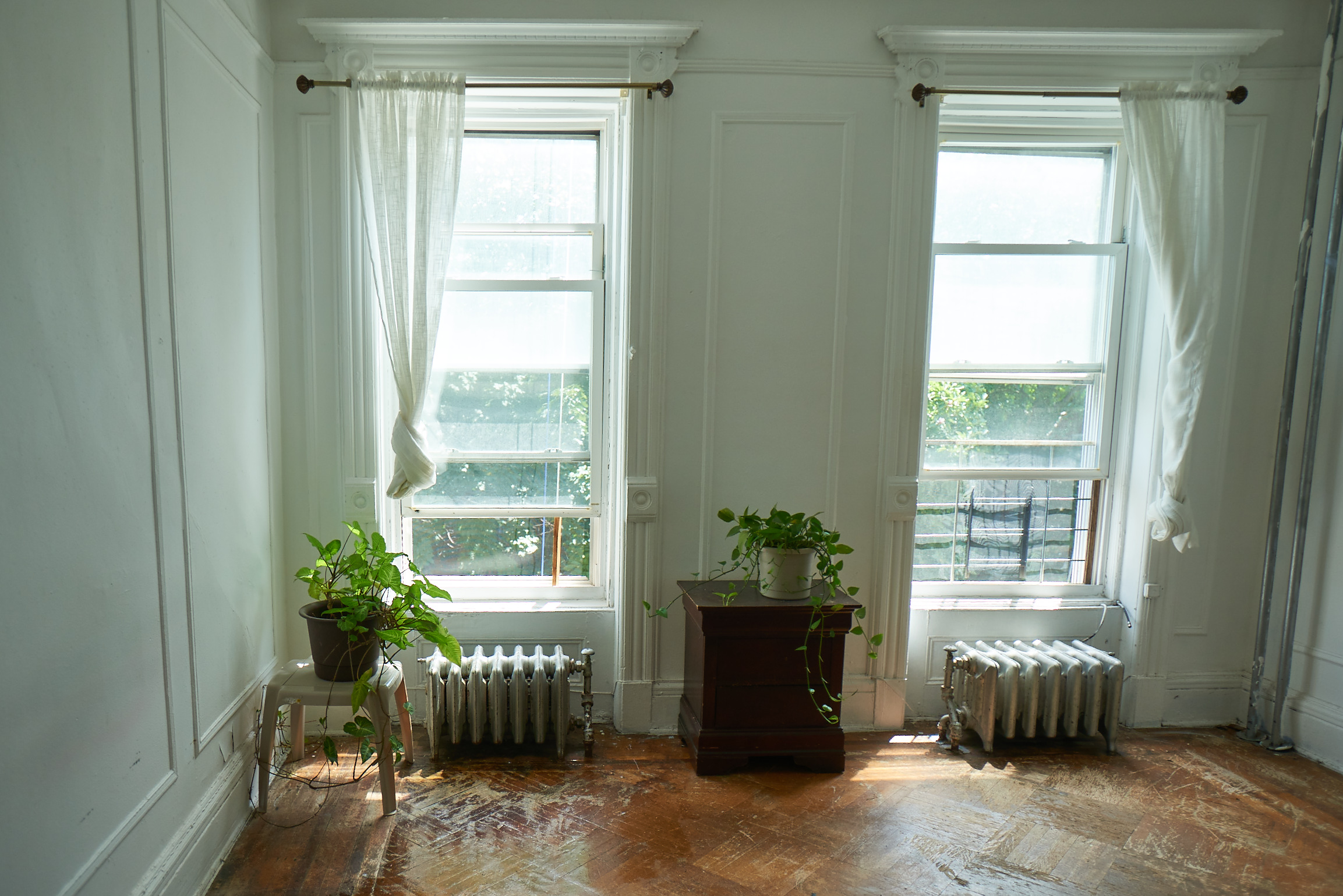 660 Macon Street Brooklyn, NY 11233 - Photo 6 of 17 a room with furniture and a potted plant