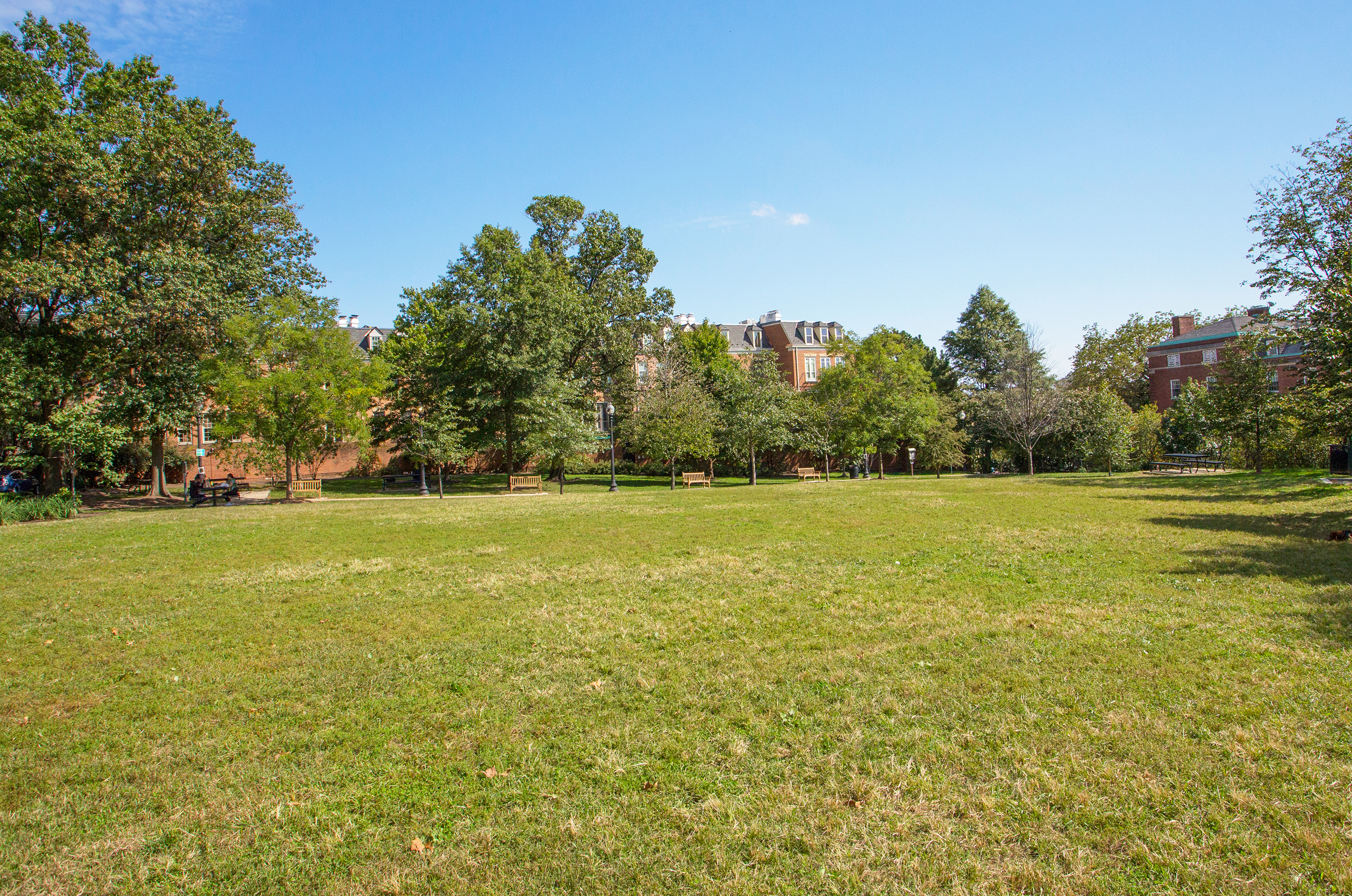 2123 California Street Northwest, Unit D5 Washington, DC 20008 - Photo 22 of 25 a view of outdoor space with swimming pool and green space
