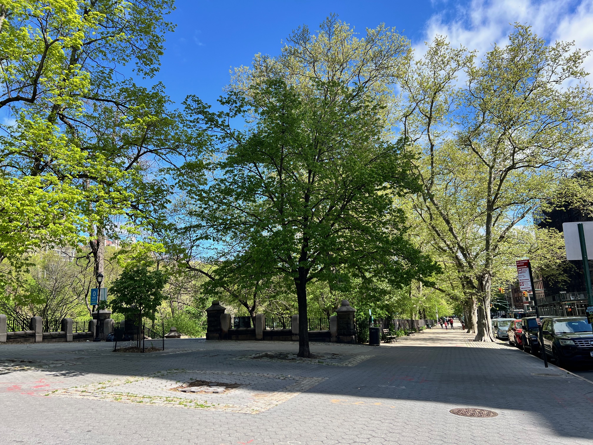 250 Manhattan Avenue, Unit 3A Manhattan, NY 10026 - Photo 12 of 15 a view of street with parked cars