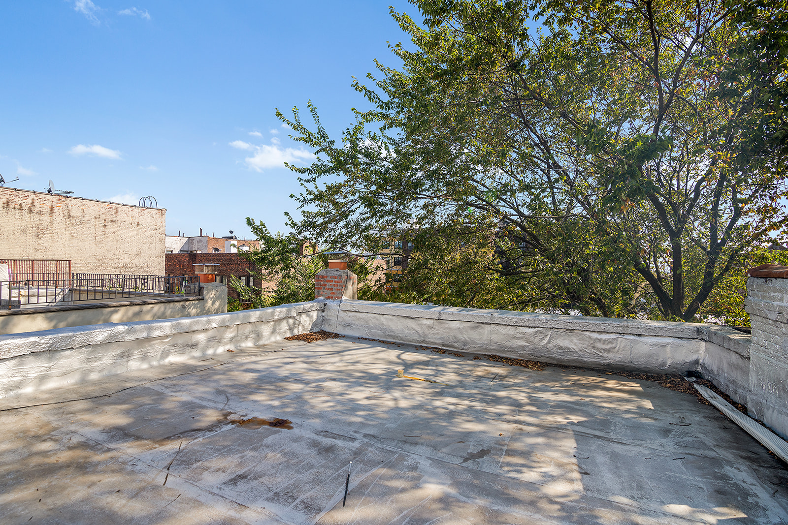 1168 Eastern Parkway Brooklyn, NY 11213 - Photo 5 of 9 a view of a yard with a tree