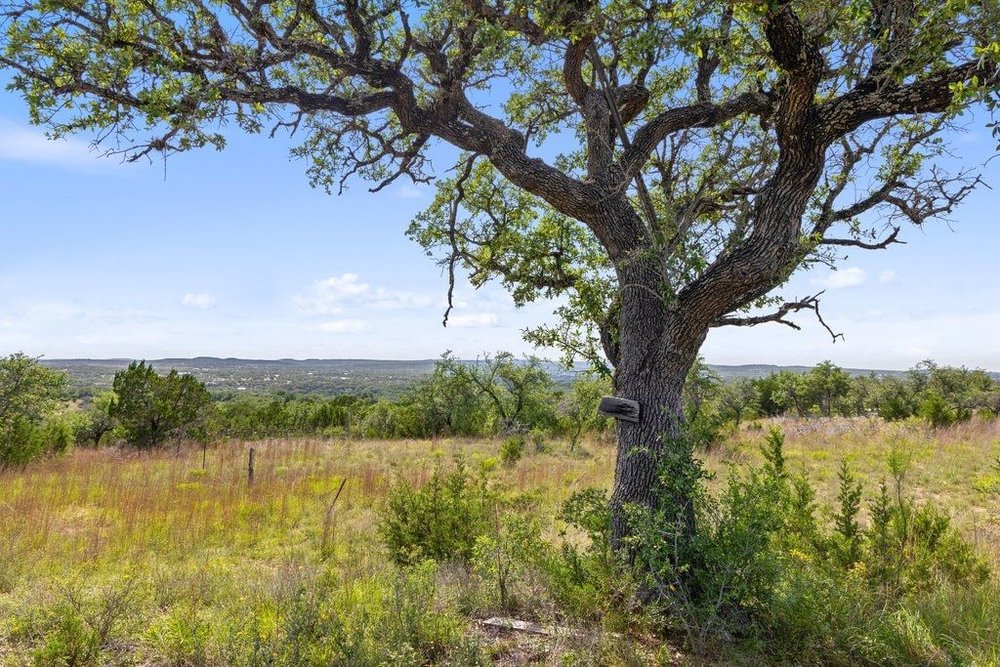 Tbd Spicewood, TX 78669 - Photo 14 of 61