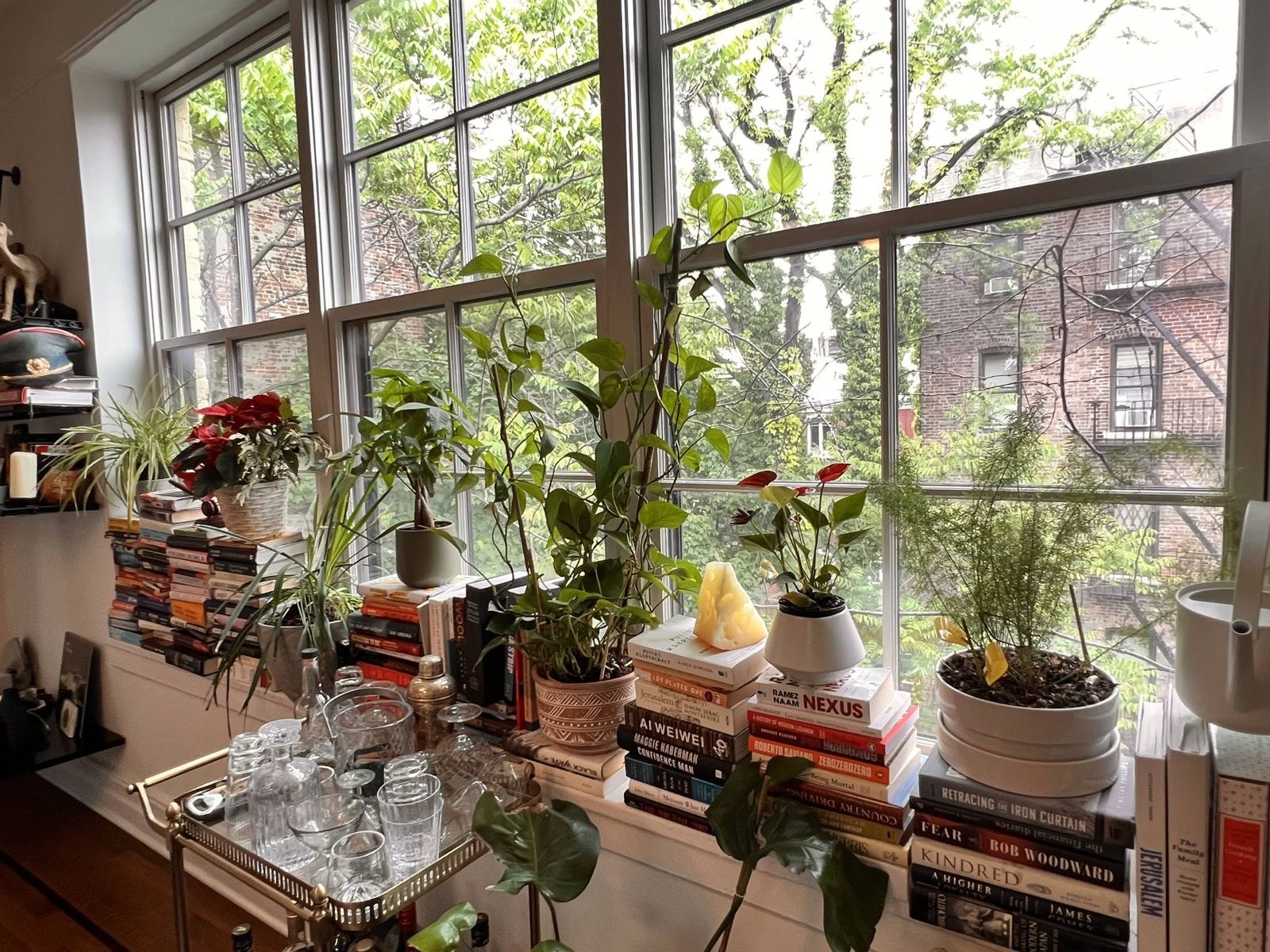 73 Perry Street, Unit 5 Manhattan, NY 10014 - Photo 5 of 10 a room with furniture and a potted plant