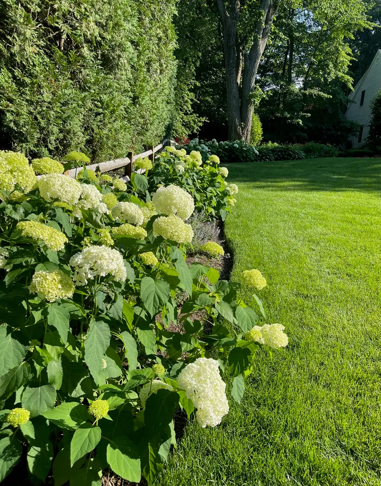 Contact Agent | 28 Tufts Road, Lexington, MA 02421