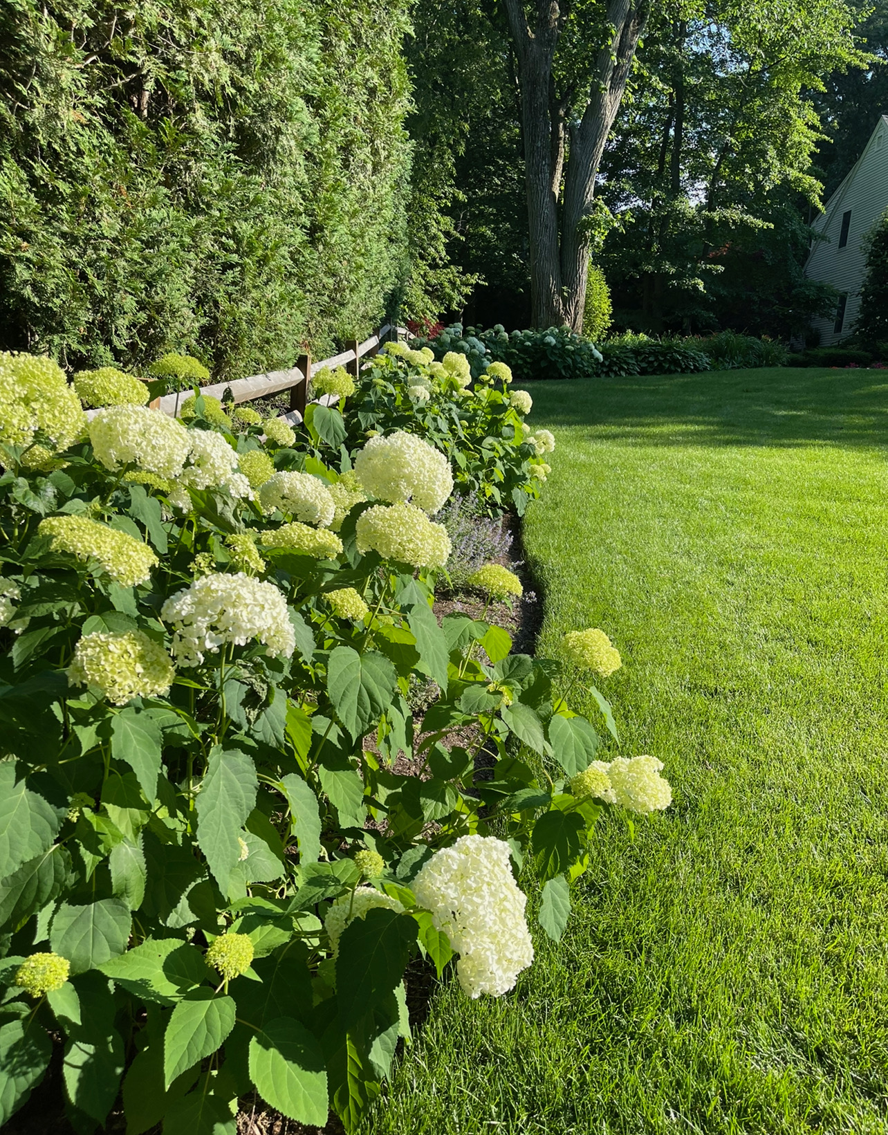 28 Tufts Road Lexington, MA 02421 - Photo 40 of 49