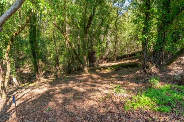 $125,000 | 10612 Canyon Road, Forestville, CA 95436