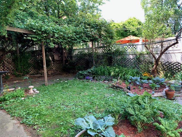 642 East 26th Street Brooklyn, NY 11210 - Photo 28 of 32 a backyard of a house with lots of green space and fountain