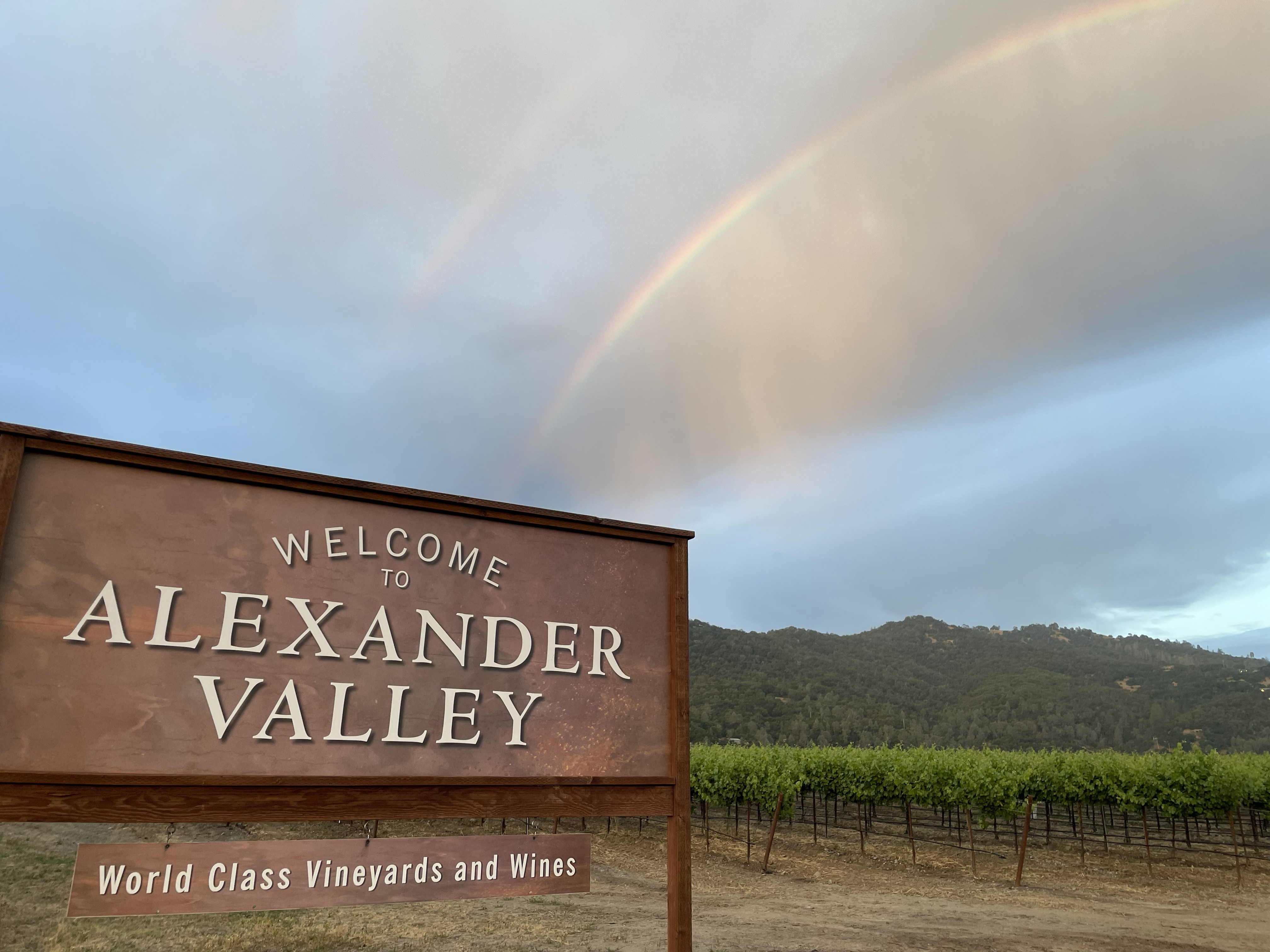 1163 Mountain Pine Road Cloverdale, CA 95425 - Photo 35 of 38