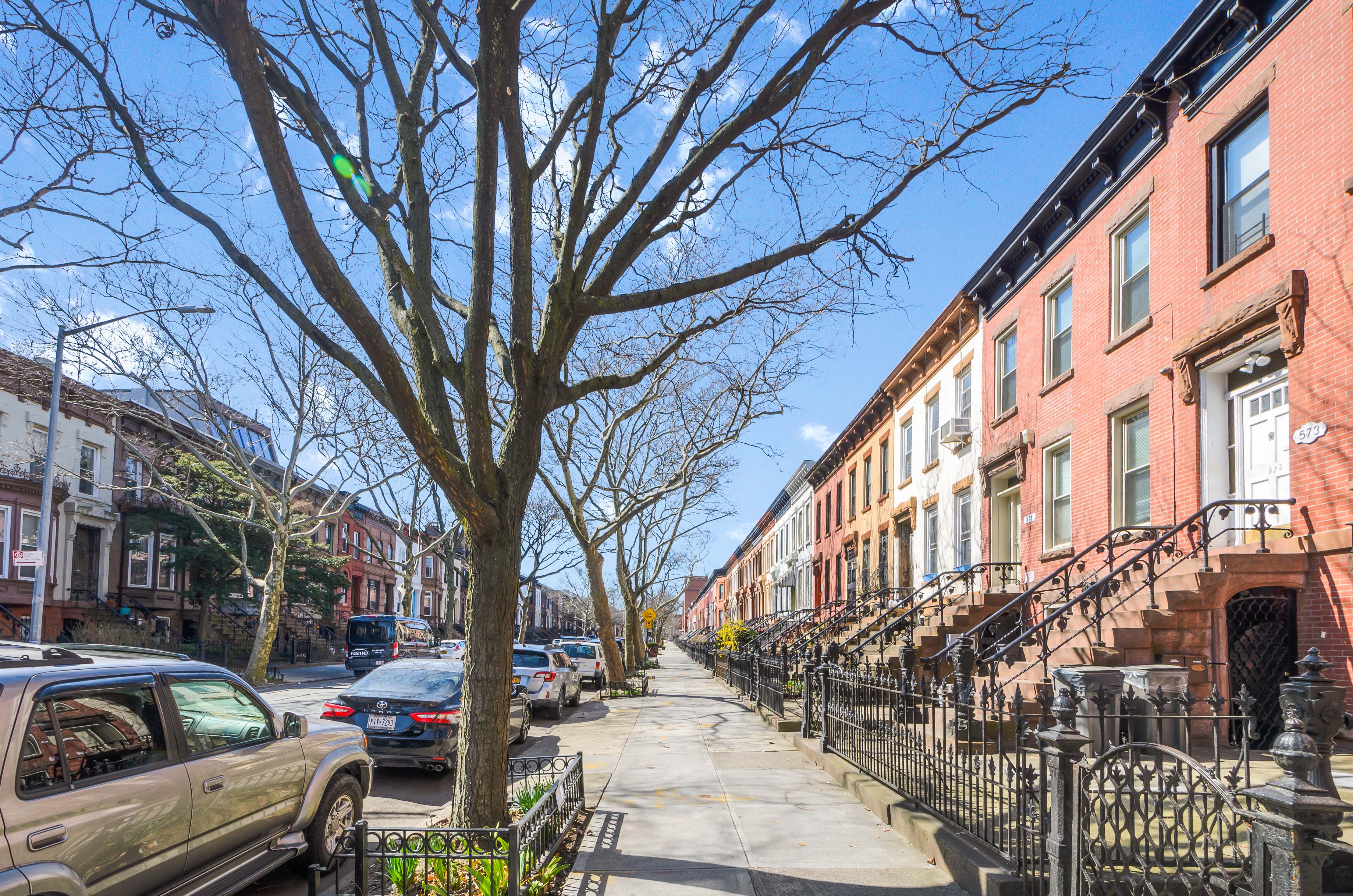 571 MacDonough Street, Unit 1 Brooklyn, NY 11233 - Photo 8 of 8