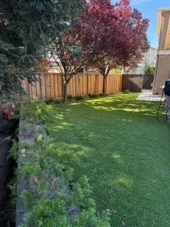 a view of a backyard with large trees
