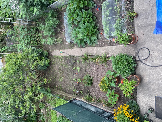 32-55 41st Street Queens, NY 11103 - Photo 2 of 3