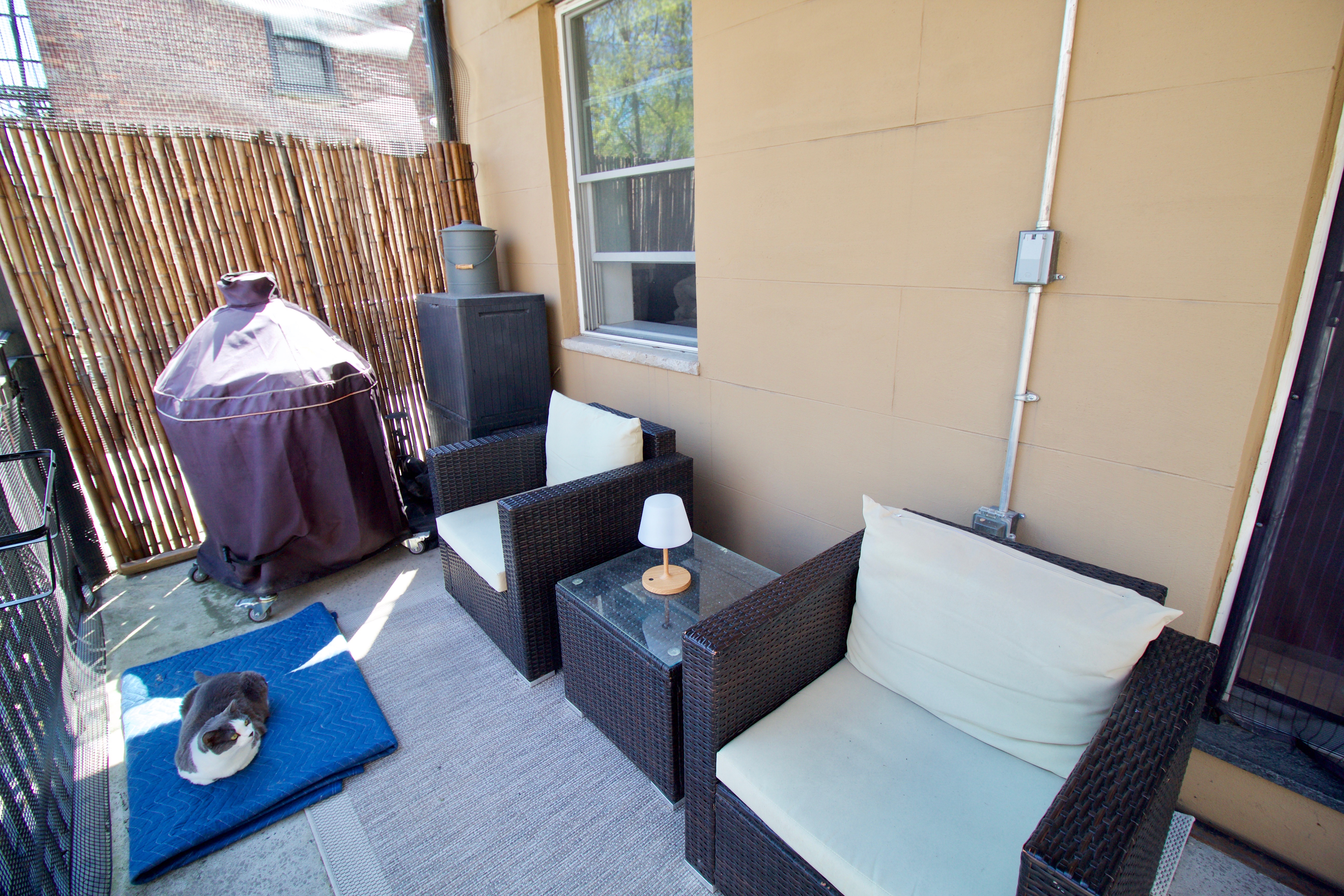 627 Baltic Street, Unit 2 Brooklyn, NY 11217 - Photo 31 of 32 a living room with furniture and a window