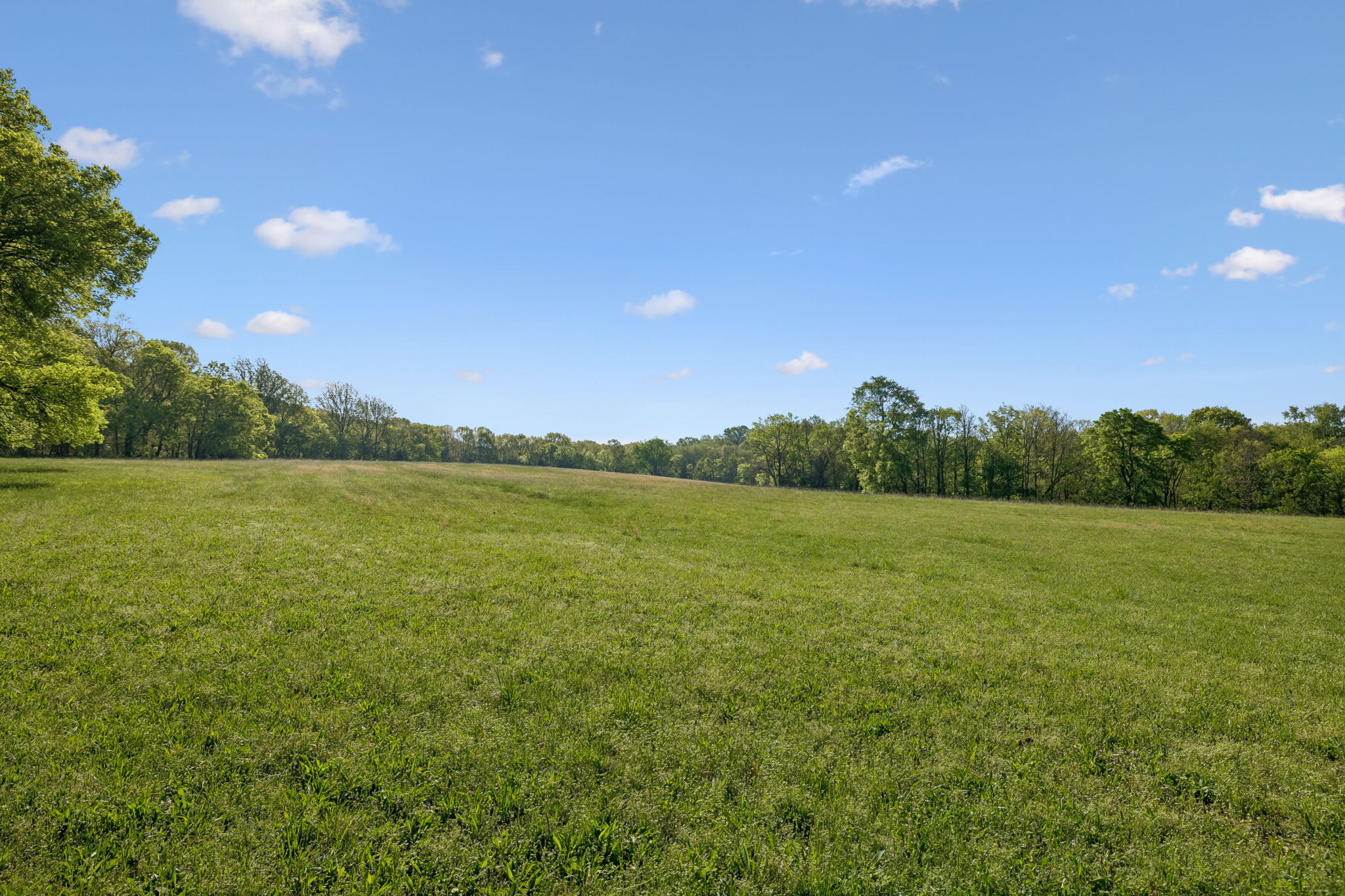 Undisclosed Address College Grove, TN 37046 - Photo 19 of 24 a view of an ocean and a yard