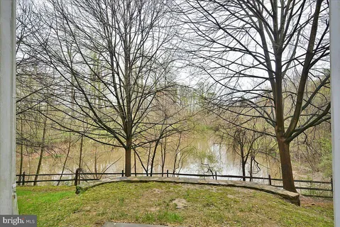 a view of yard with trees